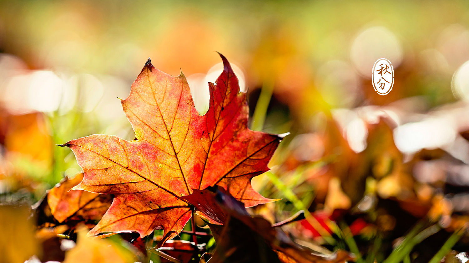 20160922170656_0771.jpg 20160922170656_0771.jpg